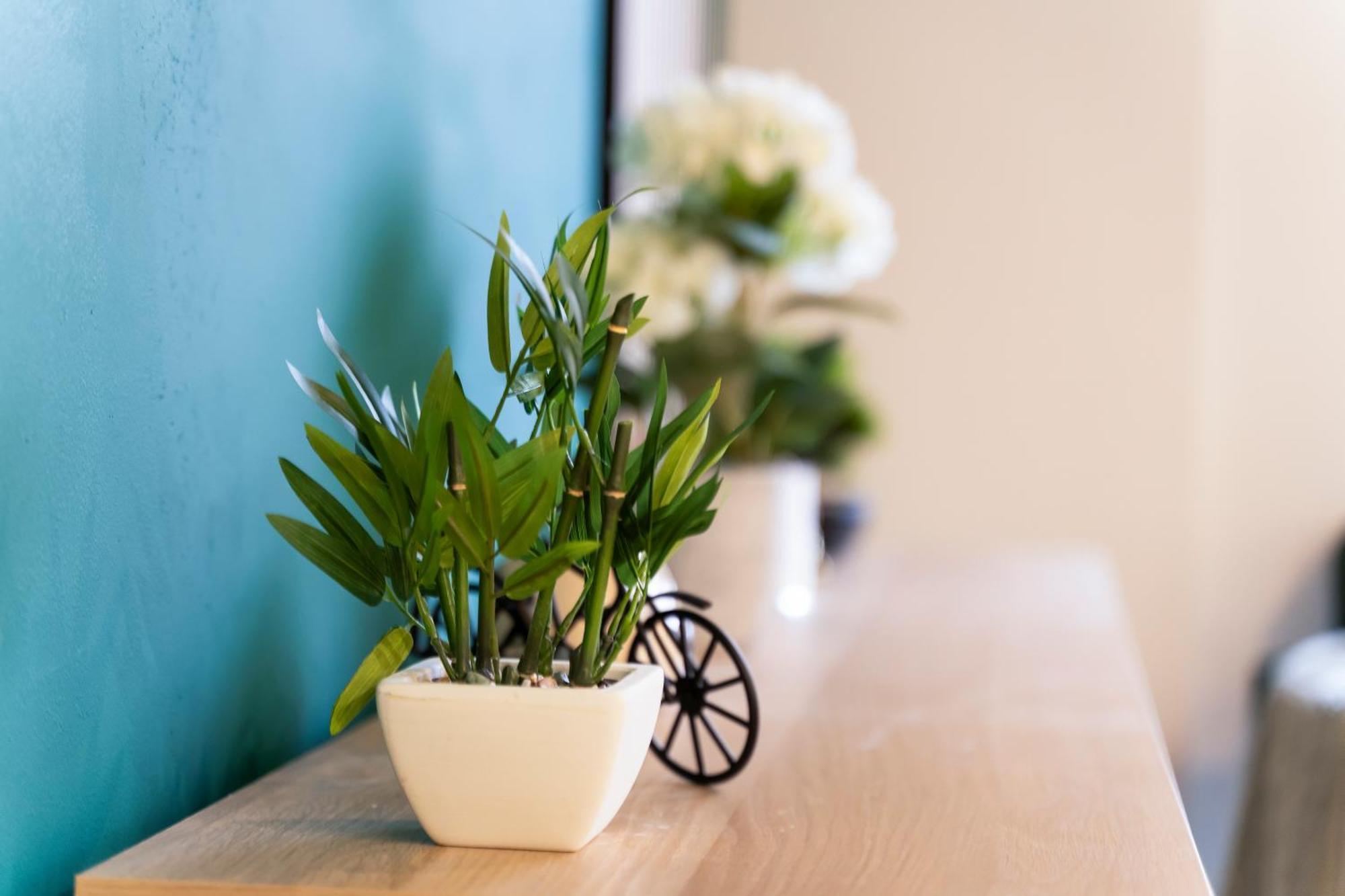 Evergreen Haven - Central 2Br - Free Parking W High Speed Wifi Birmingham Luaran gambar